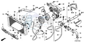 TRX700XX9 Australia - (U) drawing RADIATOR