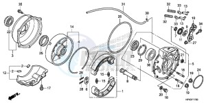 TRX420FPED TRX420 Europe Direct - (ED) drawing REAR BRAKE PANEL