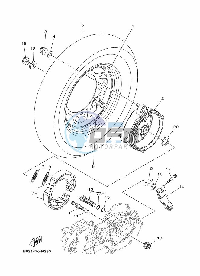 RADIATOR & HOSE