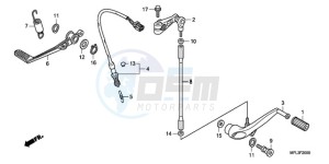 CBR1000RR9 France - (F / CMF TRI) drawing PEDAL