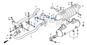 TRX350FM RANCHER 4X4S drawing EXHAUST MUFFLER