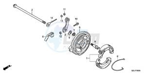 CRF50FE CRF50F Europe Direct - (ED) drawing REAR BRAKE PANEL