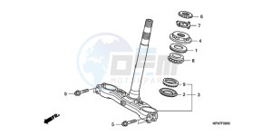 CB1000R9 France - (F / CMF) drawing STEERING STEM