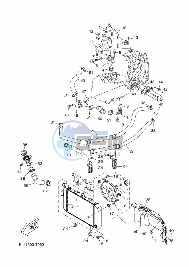 RADIATOR & HOSE