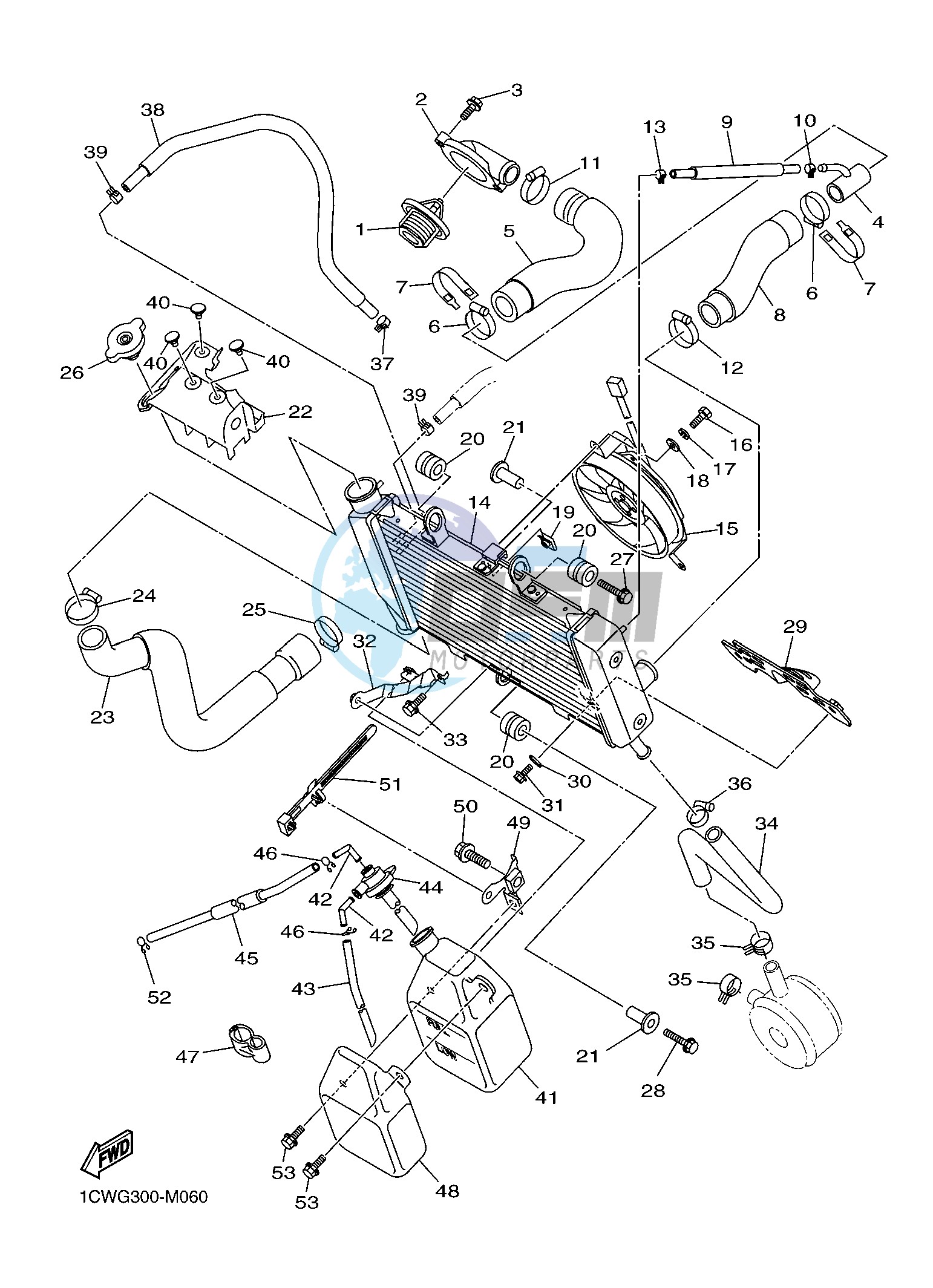 RADIATOR & HOSE