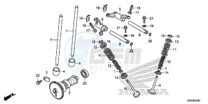 TRX420TM1E TRX420 Europe Direct - (ED) drawing CAMSHAFT/VALVE