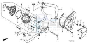 CB600F39 Spain - (SP / ST) drawing WATER PUMP