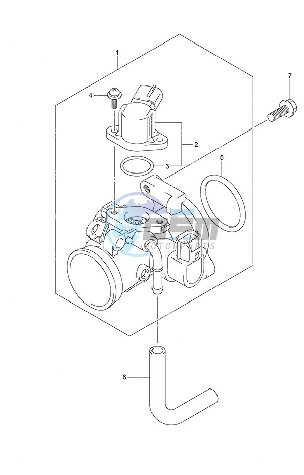 Throttle Body Remote Control