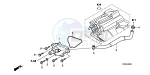 TRX420FE9 Australia - (U / 4WD) drawing WATER PUMP COVER