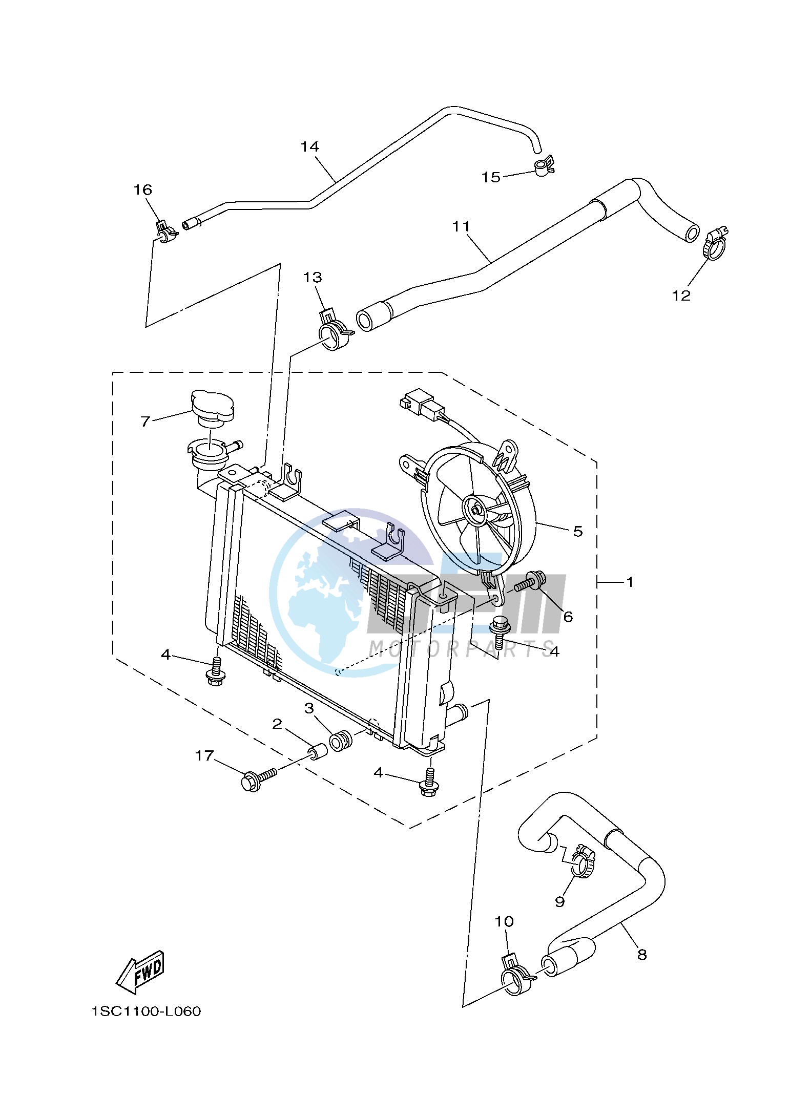 RADIATOR & HOSE