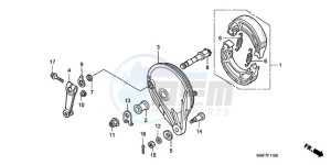 CBF125MA France - (F) drawing REAR BRAKE PANEL