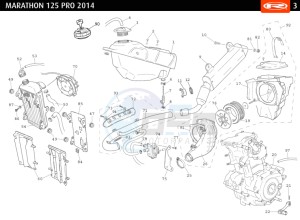 MARATHON-125-PRO-WHITE drawing COMPLETE ENGINE - EXHAUST - FUEL TANK