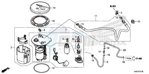 TRX420FA2G TRX420F Europe Direct - (ED) drawing FUEL PUMP