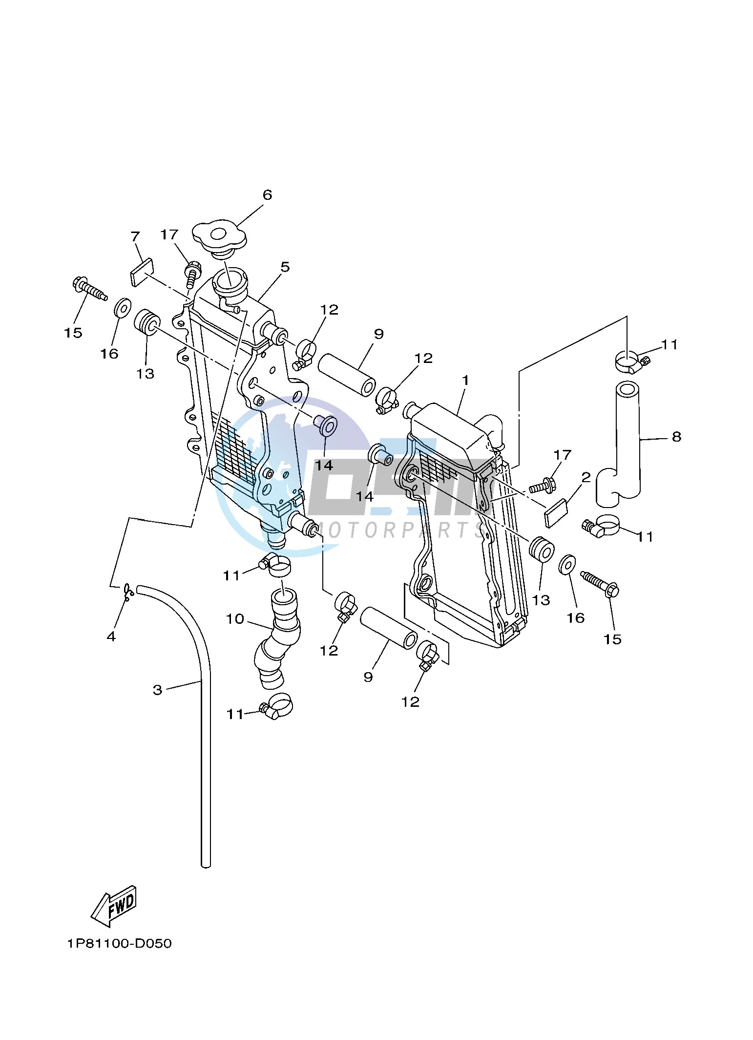 RADIATOR & HOSE