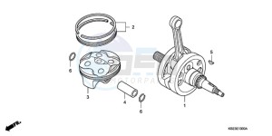 CRF150RB9 Europe Direct - (ED / T19) drawing CRANKSHAFT/PISTON