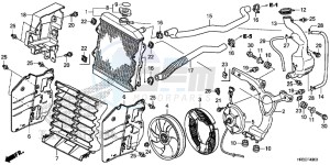 TRX420TE1F TRX420 Europe Direct - (ED) drawing RADIATOR