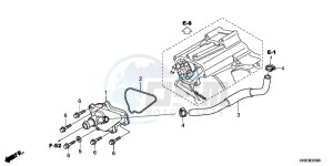 TRX500FPMD TRX500FPM Australia - (U) drawing WATER PUMP COVER