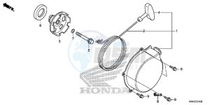 TRX500FE1H Europe Direct - (ED) drawing RECOIL STARTER