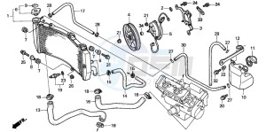 CBR900RE drawing RADIATOR (CBR900RRY,1/RE1)