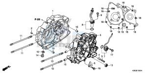 MSX125D MSX125 UK - (E) drawing CRANKCASE