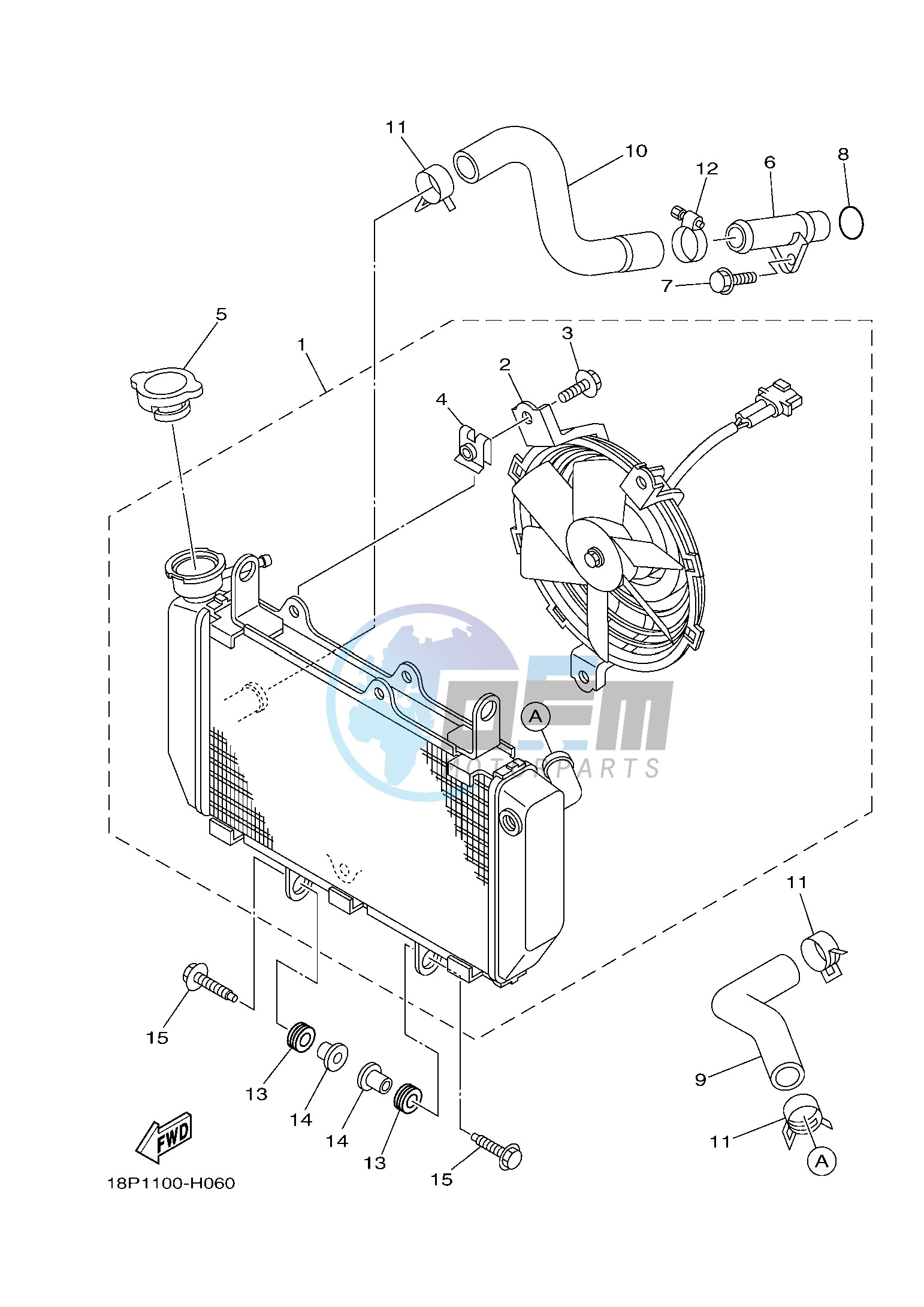 RADIATOR & HOSE