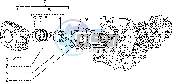 Cylinder-piston-wrist pin assy