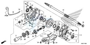 TRX500FPAE TRX500FPA Europe Direct - (ED) drawing FINAL DRIVEN GEAR