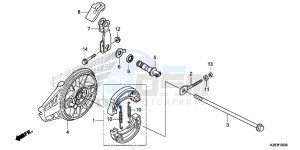 CRF125FE CRF125F Europe Direct - (ED) drawing REAR BRAKE PANEL