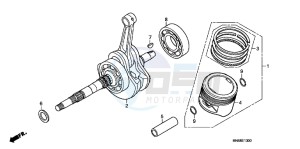 TRX250XC drawing CRANKSHAFT