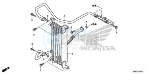 TRX500FPAE TRX500FPA Europe Direct - (ED) drawing OIL COOLER