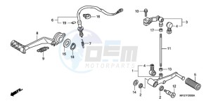 CB600F9 Europe Direct - (ED) drawing PEDAL