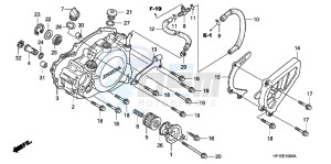 TRX450ERC drawing L. CRANKCASE COVER