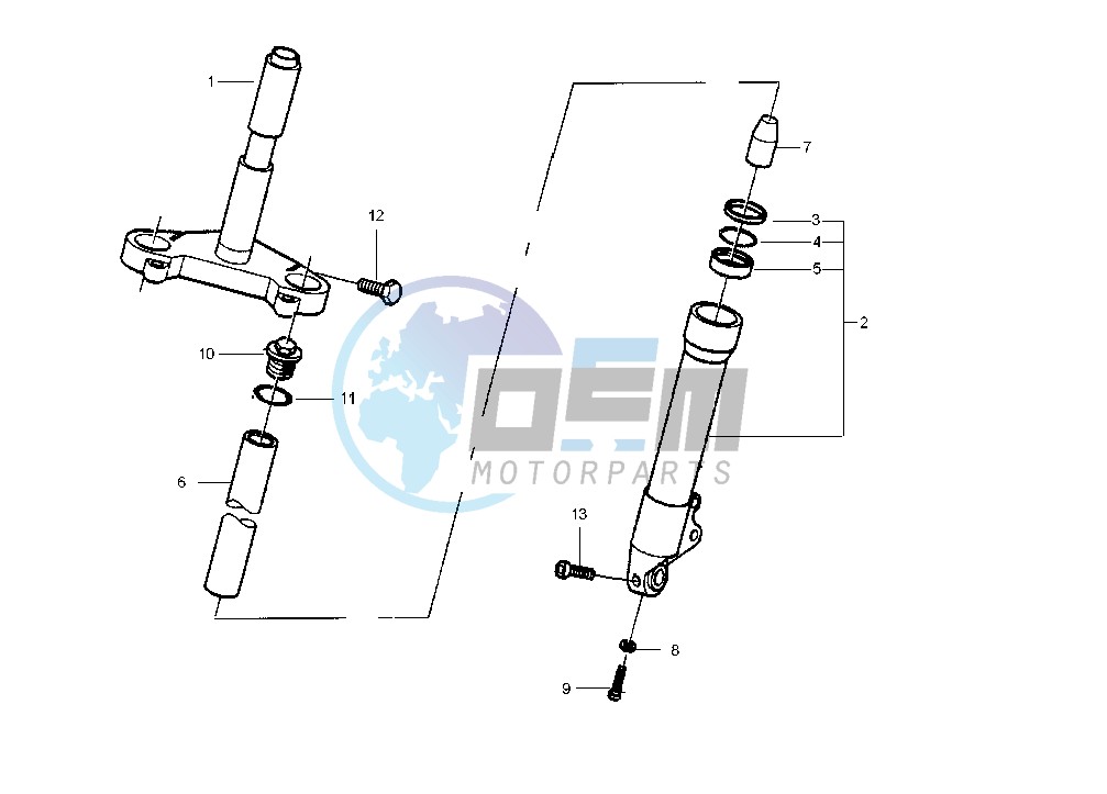 Fork MPV