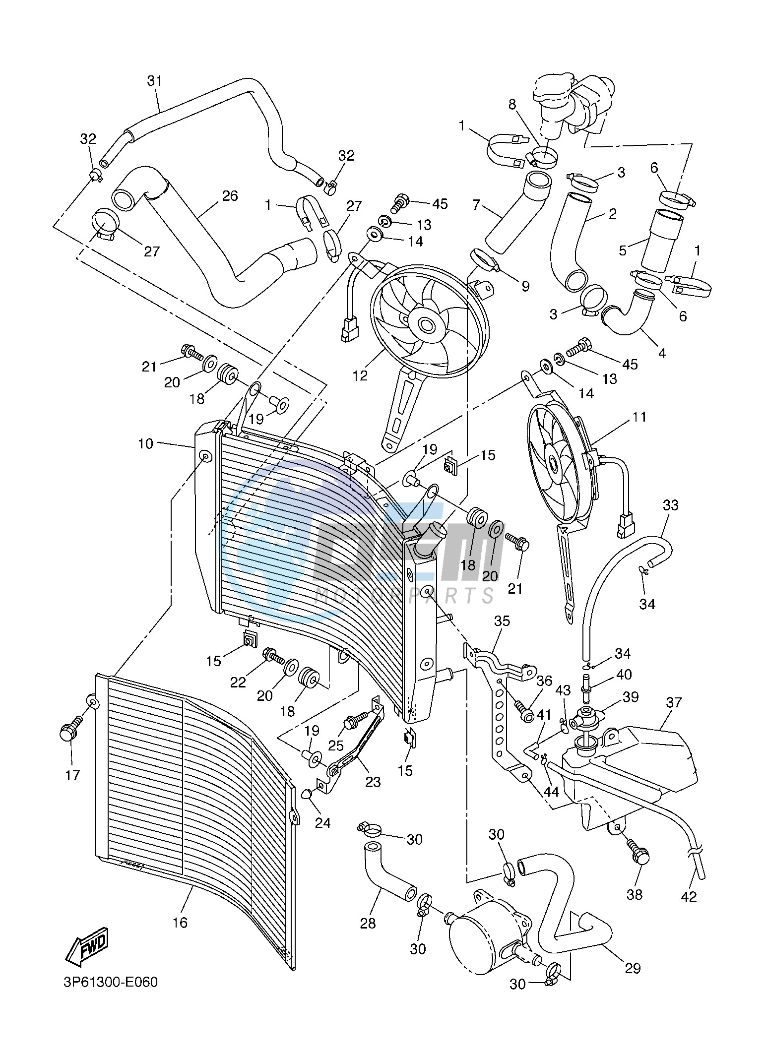 RADIATOR & HOSE