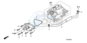 TRX420FPAA Australia - (U / PS) drawing WATER PUMP COVER