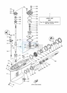 F175AETX drawing PROPELLER-HOUSING-AND-TRANSMISSION-1