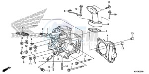 CRF110FD CRF110F Europe Direct - (ED) drawing CYLINDER HEAD