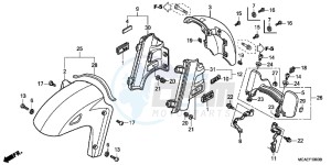 GL1800F GoldWing - GL1800-F 2ED - (2ED) drawing FRONT FENDER