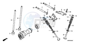 TRX500FEB drawing CAMSHAFT