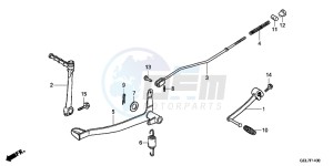 CRF50FC drawing BRAKE PEDAL/KICK STARTER ARM