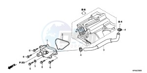 TRX420TMC drawing WATER PUMP COVER