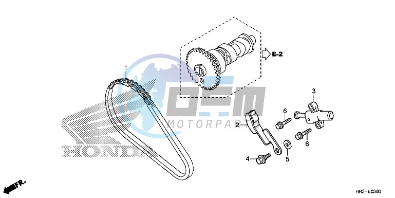 CAM CHAIN/TENSIONER