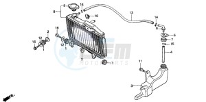 NSR50F drawing RADIATOR