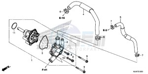 CB500F Europe Direct - (ED) drawing WATER PUMP