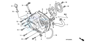 CBR125RW9 Europe Direct - (ED / WH) drawing RIGHT CRANKCASE COVER