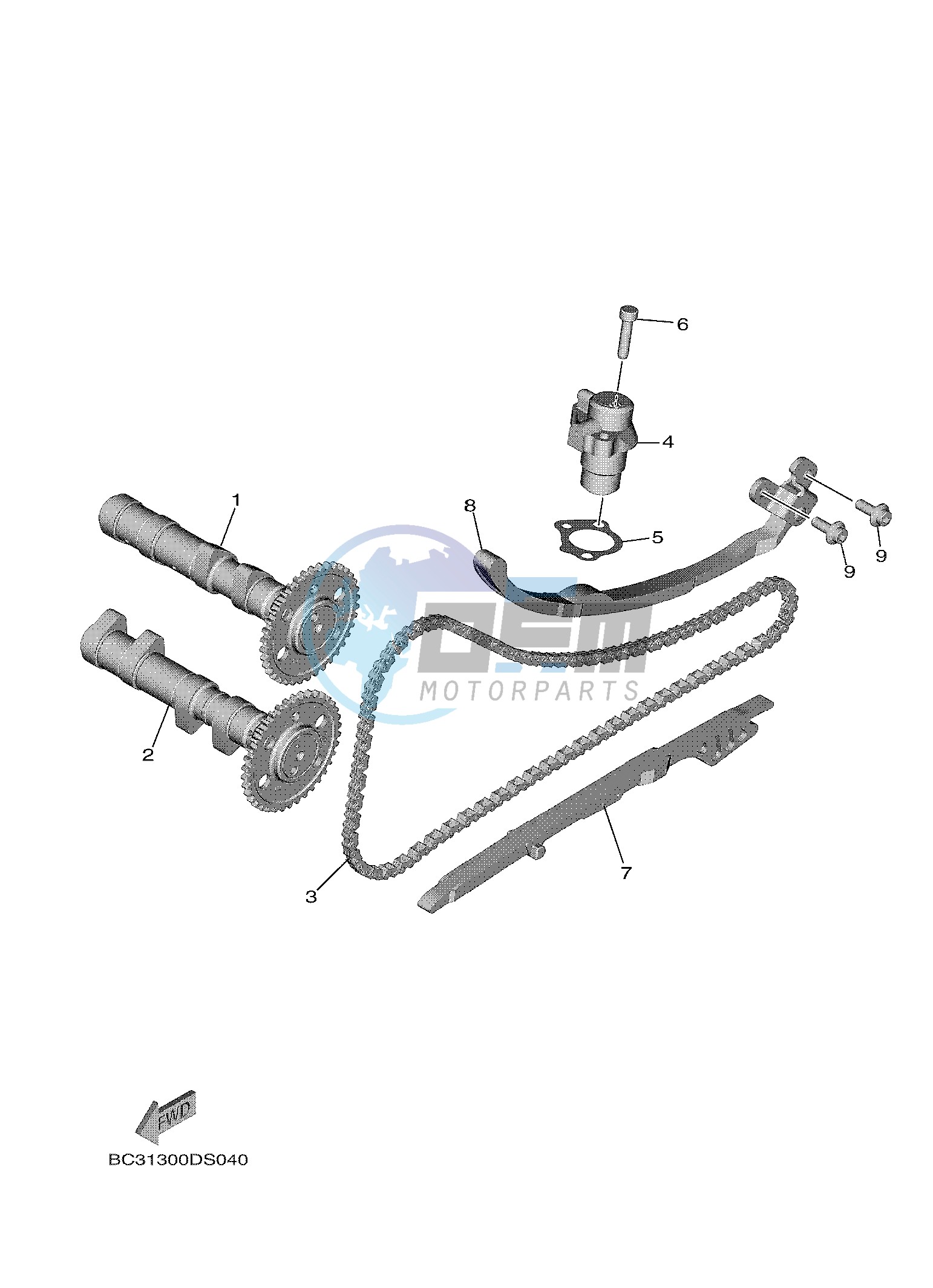 CAMSHAFT & CHAIN