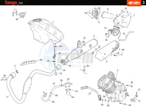 TANGO-250-WHITE drawing HOSE CONNEXIONS TANKS