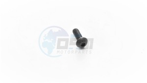 Product image: Piaggio - 581957 - .KRUISKOPPARKER 