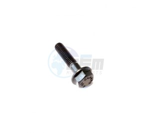 Product image: Piaggio - 828863 - BOLT, FLANGE M6X28 