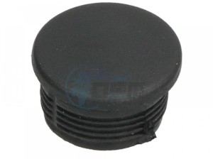 Product image: Piaggio - 600495 - Plug 